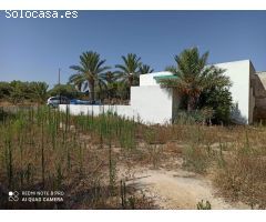 CASA DE CAMPO A 1K DE ELCHE