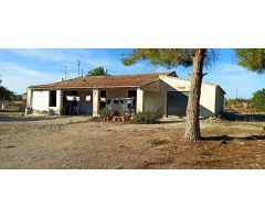 CASA DE CAMPO AUTOCTONA DE ELCHE