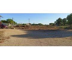 CASA DE CAMPO AUTOCTONA DE ELCHE