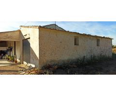 CASA DE CAMPO AUTOCTONA DE ELCHE