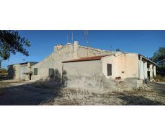 CASA DE CAMPO AUTOCTONA DE ELCHE