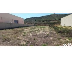 PARCELA INDUSTRIAL EN TRES HERMANAS