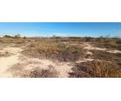 FINCA EN TORRELLANO