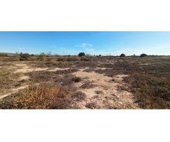 FINCA EN TORRELLANO