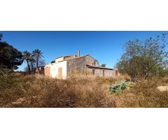 FINCA EN TORRELLANO