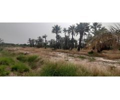 Terreno en Algoros