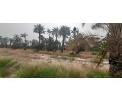 Terreno en Algoros