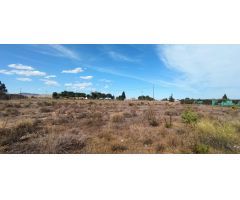 Terreno en la carretera del Elche al Altet