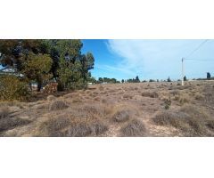 Terreno en la carretera del Elche al Altet