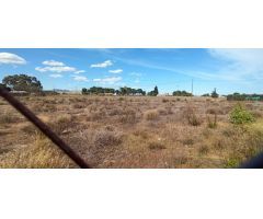 Terreno en la carretera del Elche al Altet