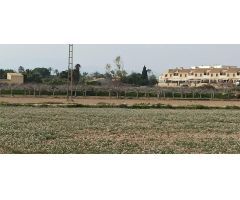 Terreno urbanizable en Elche pedanias zona Perleta