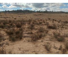 Parcela en Jumilla, ideal para construir una casa