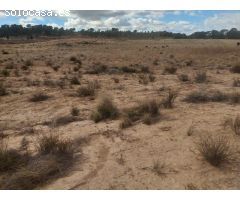 Parcela en Jumilla, ideal para construir una casa