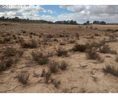 Parcela en Jumilla, ideal para construir una casa