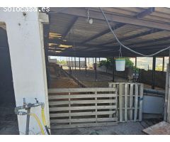 Encantador Cortijo Rústico en Ronda con Amplia Parcela