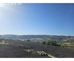 Encantador Cortijo Rústico en Ronda con Amplia Parcela