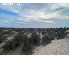 Amplia Parcela en Elche - Zona Matola con Vistas Despejadas