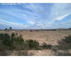Amplia Parcela en Elche - Zona Matola con Vistas Despejadas