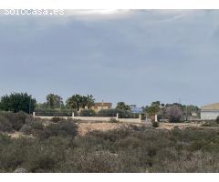 Amplia Parcela en Elche - Zona Matola con Vistas Despejadas