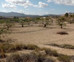 Encantadora Finca Rústica en Hondon de las Nieves con Vistas Espectaculares
