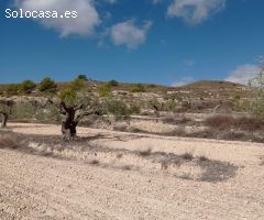 Encantadora Finca Rústica en Hondon de las Nieves con Vistas Espectaculares