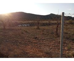 Oportunidad Única: Terreno Rústico en Hondon de las Nieves