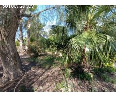 Encantador Chalet en Elche - Zona Jubalcoi-Saladas a Solo 3 Minutos del Pueblo