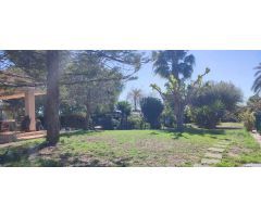 Amplio Chalet en Elche Pedanías - Zona Alzabares