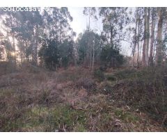 Conjunto de Parcelas en Venta en la Parroquia de  Atios, Porriño