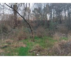 Conjunto de Parcelas en Venta en la Parroquia de  Atios, Porriño