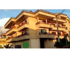Local Comercial en VIllalonga