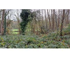 Terreno rural en Venta en Lugones, Lugo