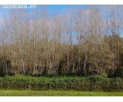 Terreno rural en Venta en Lugones, Lugo
