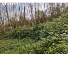 Terreno rural en Venta en Lugones, Lugo