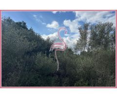 ¡Construye la Casa de tus Sueños en un Paraíso Natural de Mallorca!