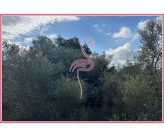 ¡Construye la Casa de tus Sueños en un Paraíso Natural de Mallorca!
