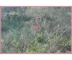 ¡Construye la Casa de tus Sueños en un Paraíso Natural de Mallorca!