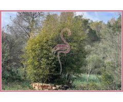 ¡Construye la Casa de tus Sueños en un Paraíso Natural de Mallorca!
