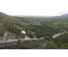 Terreno en Pego