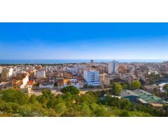 Parcela en Venta en Guardamar del Segura, Alicante