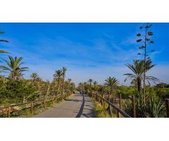 Parcela en Venta en Guardamar del Segura, Alicante