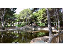 Parcela en Venta en Guardamar del Segura, Alicante