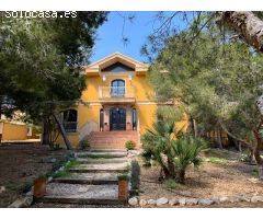 Villa en Venta en Guardamar del Segura, Alicante