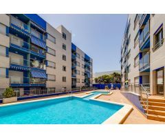 SE VENDE ESTUDIO EN PRIMERA LINEA DE LA PLAYA EN TORREVIEJA (ALICANTE)