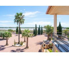 Villa en Venta en La Marina, Alicante