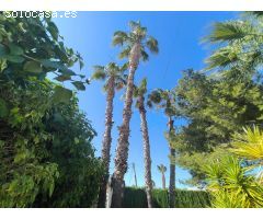 Gran chalet familiar en parcela de 1100 m2 con piscina privada, cocina de verano y jardín.