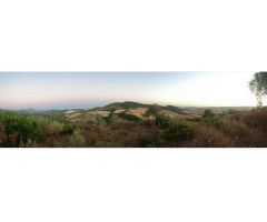 Finca rural Magnificas vistas