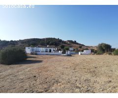 FINCA EL BERRUECO