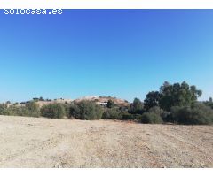 FINCA EL BERRUECO