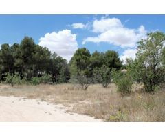 Parcela en Venta en Caravaca de la Cruz, Murcia
